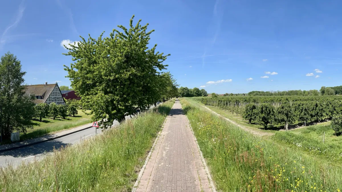 How good is Hamburg’s cycling infrastructure?
