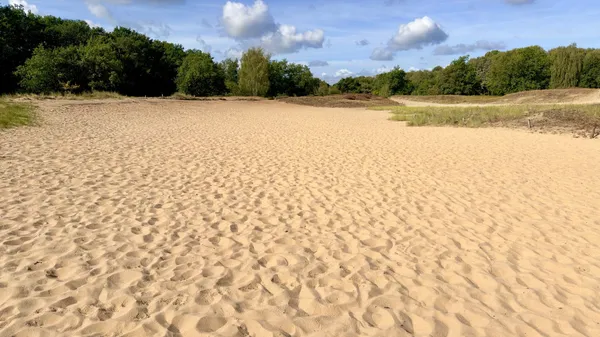 Boberger Niederung: Eight Habitats in One Nature Reserve