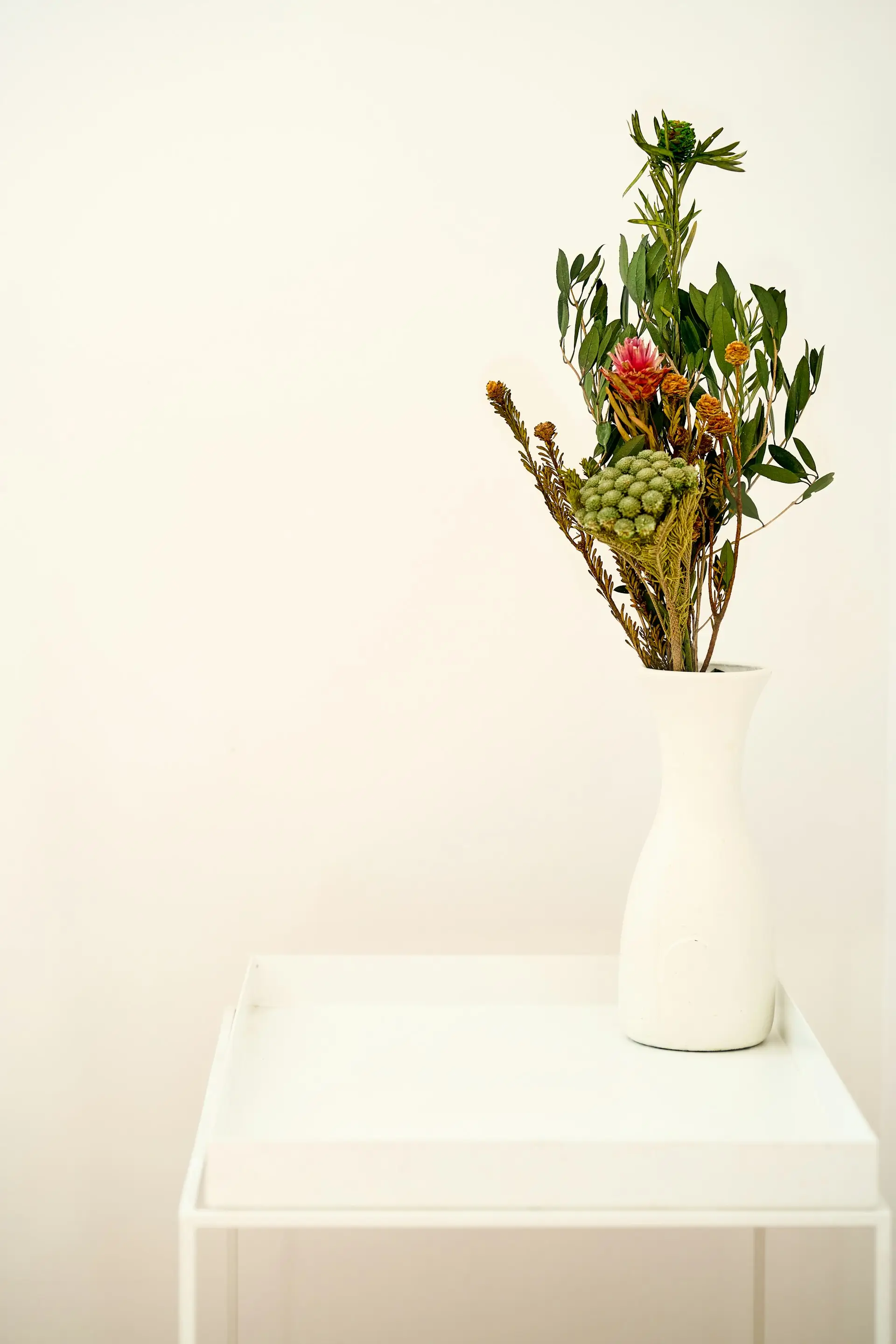 Finding Beauty in Nature's Most Delicate Arrangements