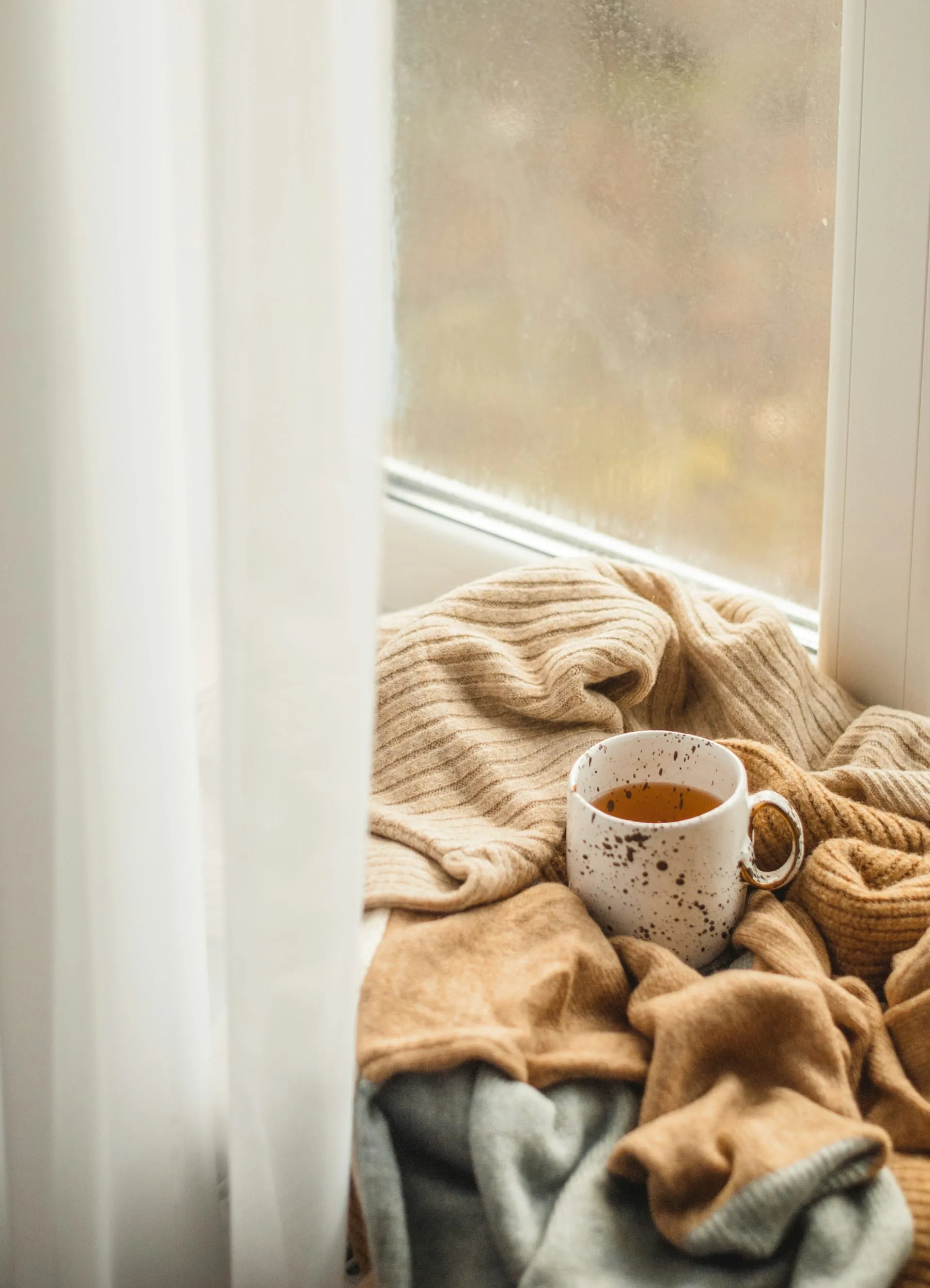 Finding Comfort in Quiet Moments at Home
