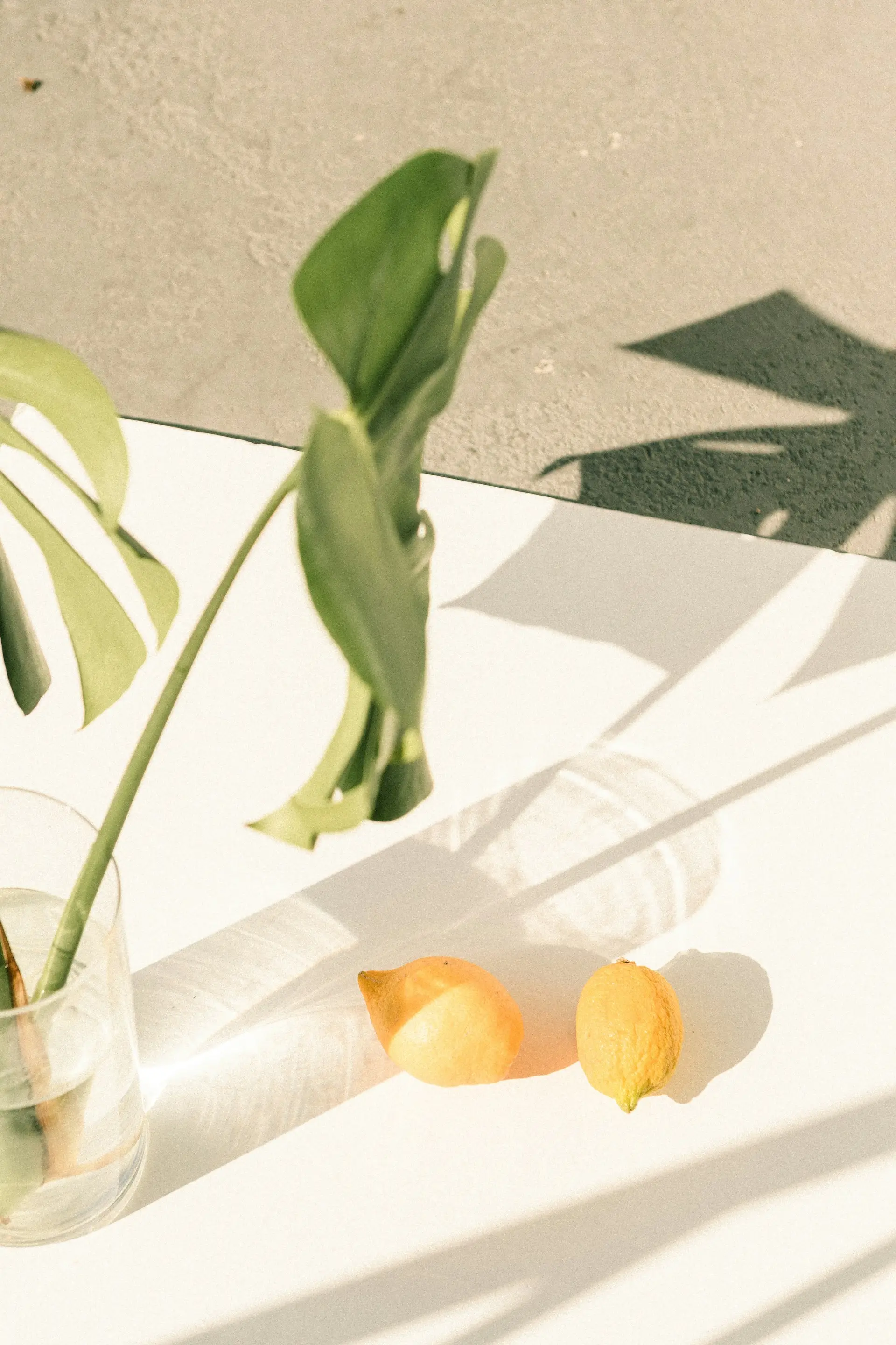 Finding Balance Between Nature and Modern Living