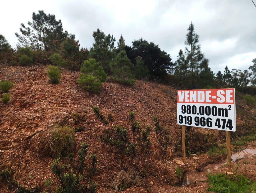 Dreaming the free land