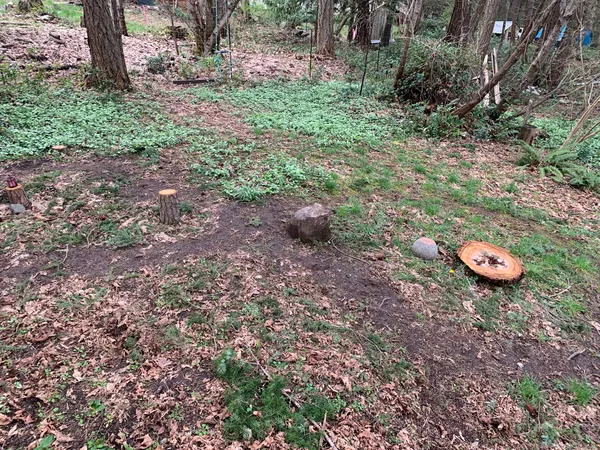 Embodying the rhythm of nature