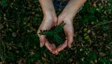 Environment