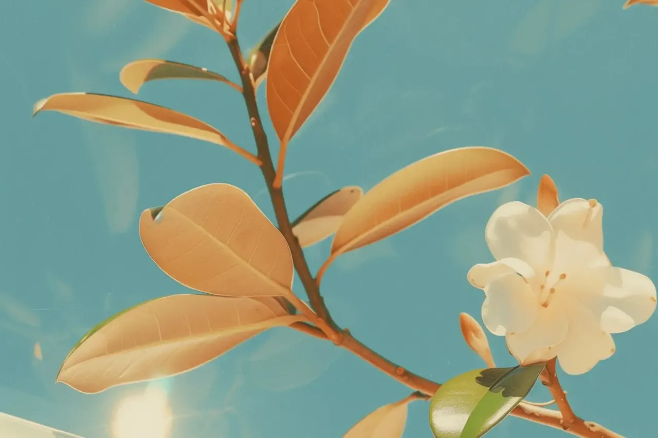 Serene Frangipani Flower against Sky Blue