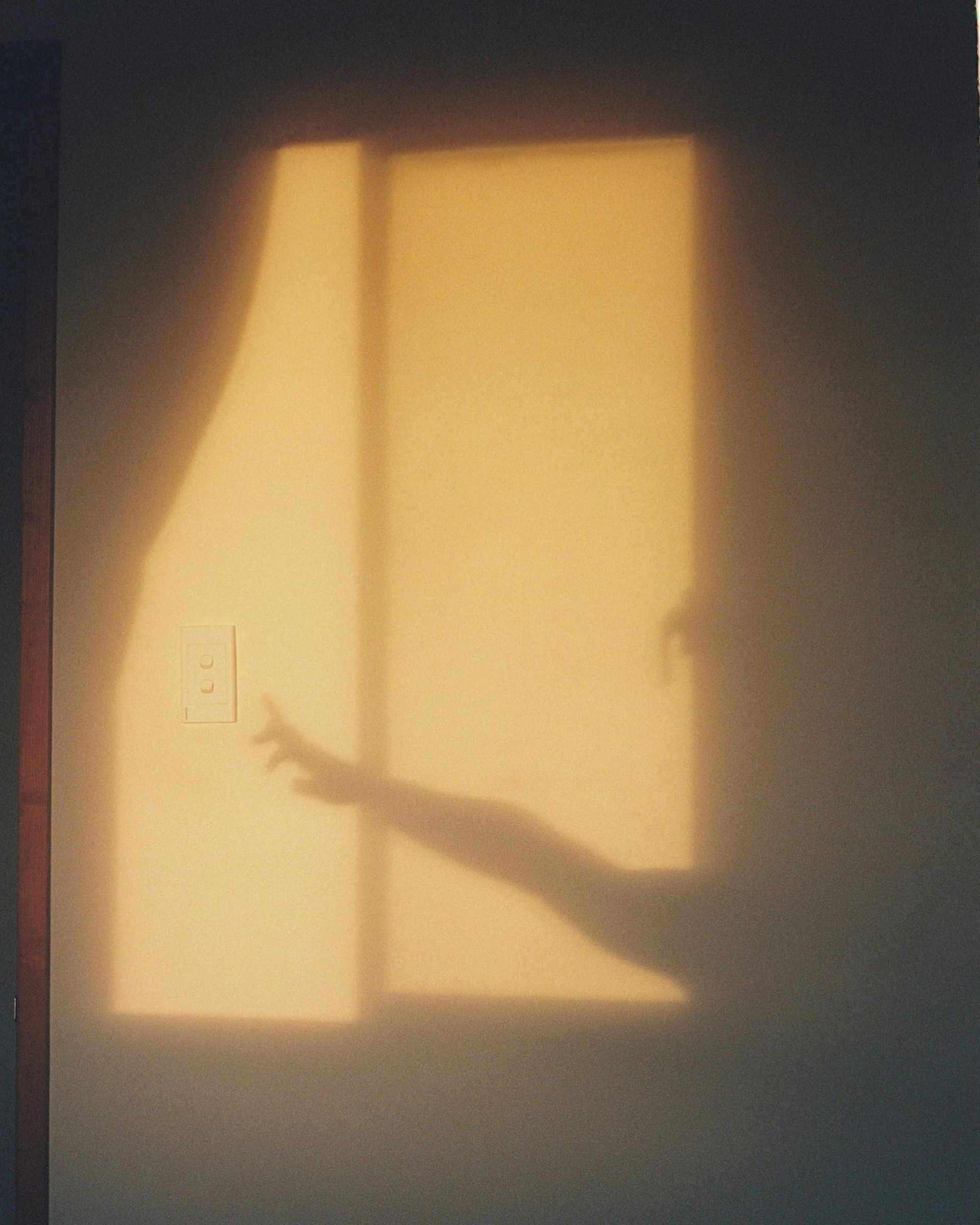 La luz natural como disciplina