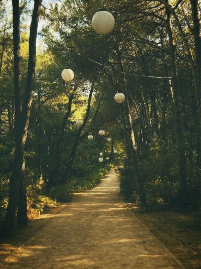 La velocidad mínima