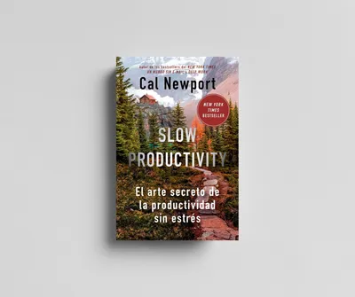 Slow Productivity