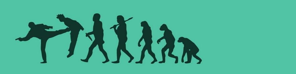 Devrin Devrimsel Devinimi