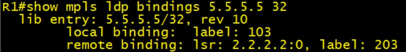 show mpls ldp bindings