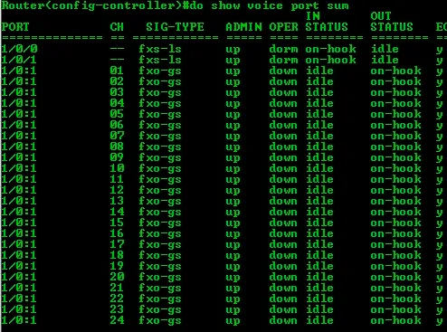 show voice port summary