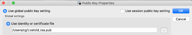 SecureCRT Public Key Settings