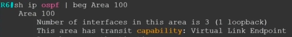 Show IP ospf capability transit