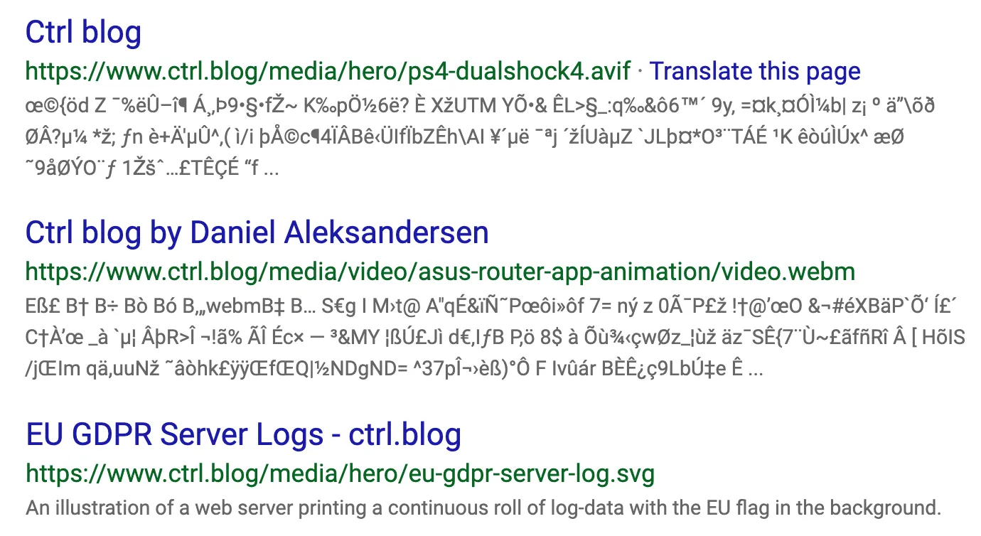 Bing search results showing search results with binary data as an unreadable Unicode text representation.