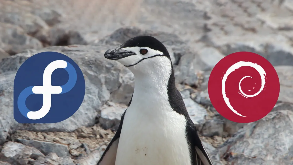 A penguin looking away from the Debian logo and towards the Feodra Linux logo.