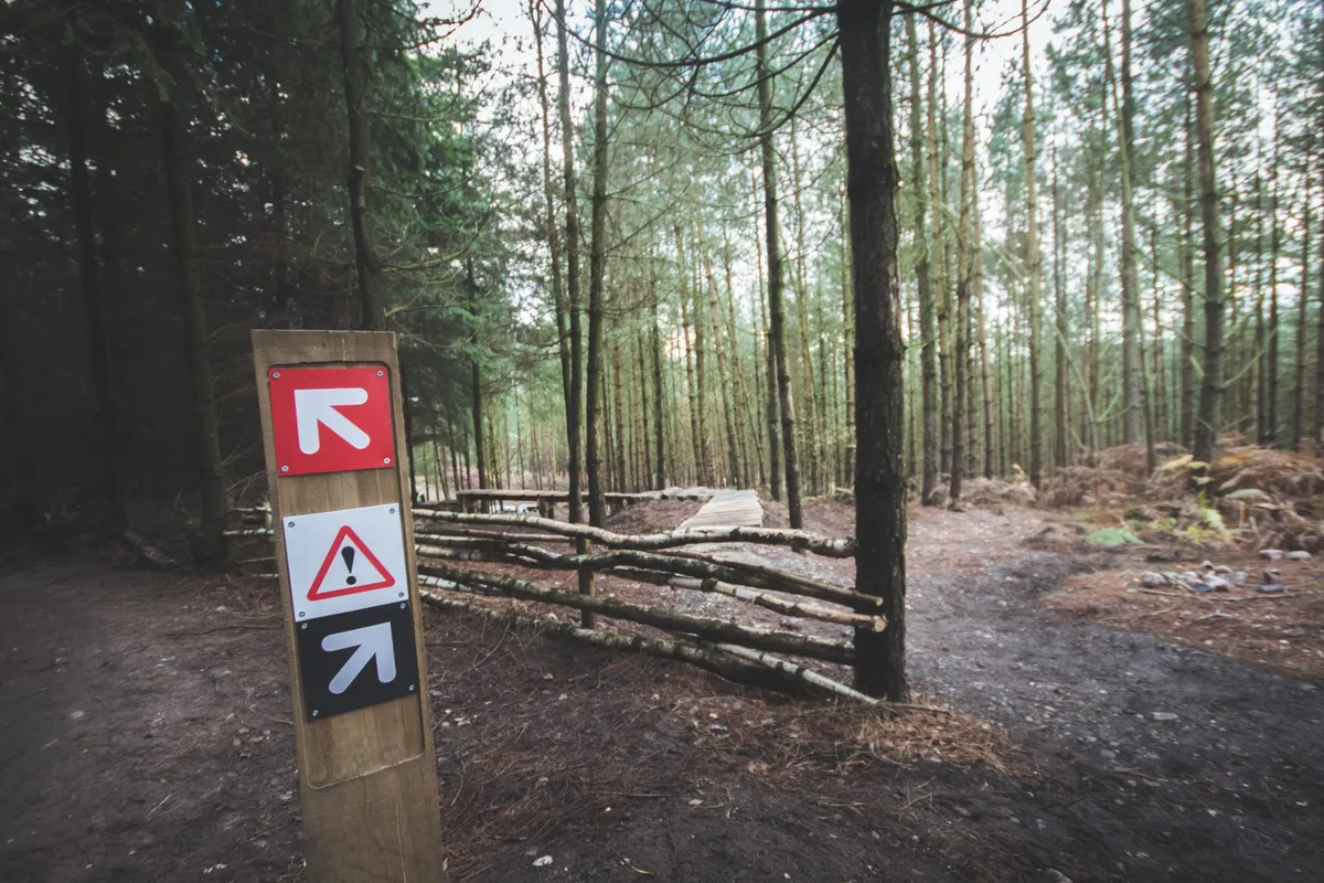 A crossroads sign in the forest. One of two paths is labeled with a warning sign.