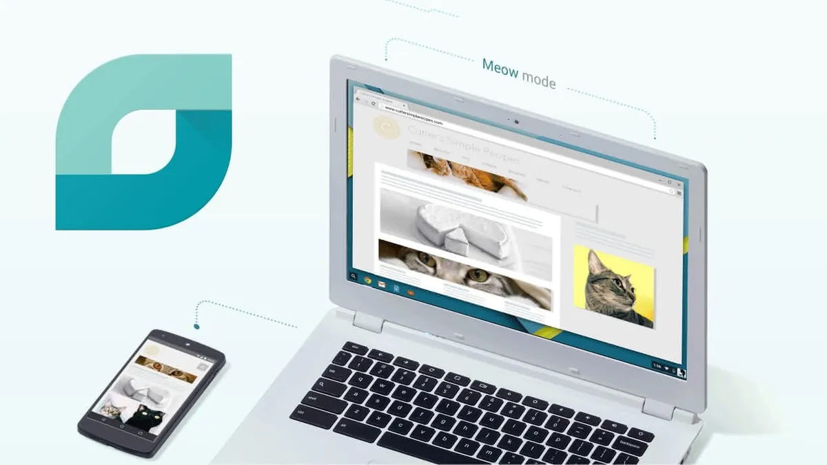 Google Contributor showing cats instead of advertisements on a mobile device and on a laptop.
