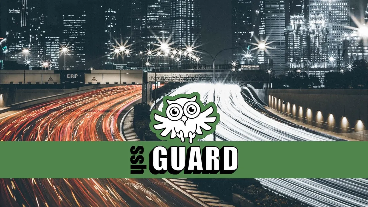 The SSHGuard swooping-owl logo in front of a highway.