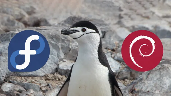 A penguin looking away from the Debian logo and towards the Feodra Linux logo.
