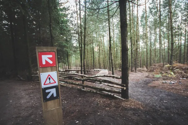 A crossroads sign in the forest. One of two paths is labeled with a warning sign.