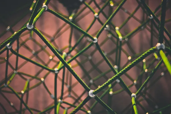 A mesh of green ropes.