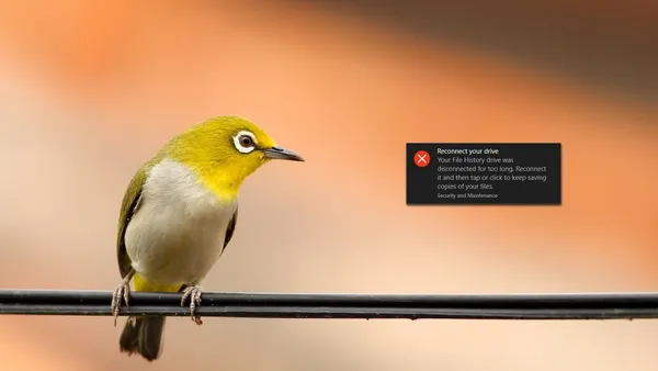 A yellow bird looking at a Windows error dialog saying “Reconnect your drive. Your File History Drive was disconnected for too long. Reconnect it.”