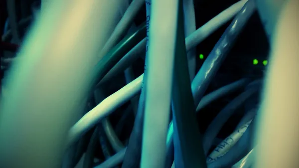 A pair of green LEDs “looking out” from behind some network cables.
