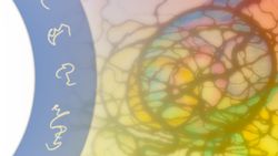 NeuroGraphik® Basiskurs Supervisionen