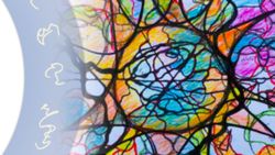 Die Karte der Aufmerksamkeit