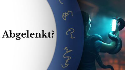 Entführung der Aufmerksamkeit - Fallen der Matrix (6)