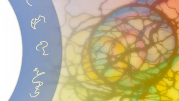 NeuroGraphik® Basiskurs Supervisionen