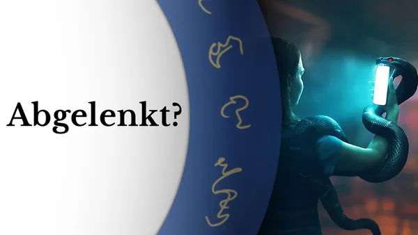 Entführung der Aufmerksamkeit - Fallen der Matrix (6)