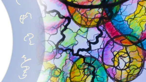 Die Karte der Aufmerksamkeit (lite)