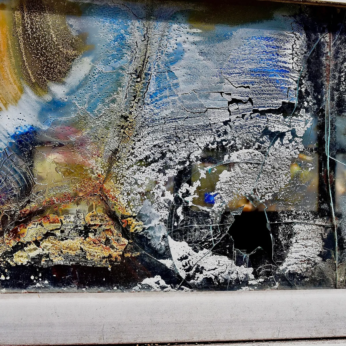 Fractured Fungus Covered Window Glass. Junked Freedom Bus. North Carolina Salvage Yard.