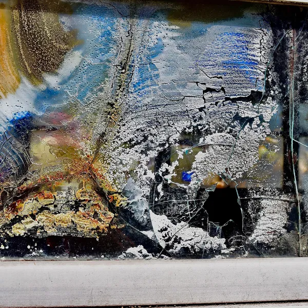 Fractured Fungus Covered Window Glass. Junked Freedom Bus. North Carolina Salvage Yard.