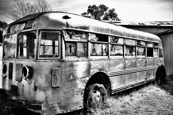 FREEDOM RIDERS REVISITED.