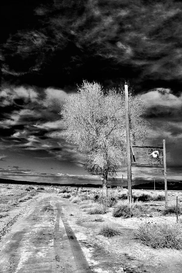 Down Wind with Death: St. George, Utah