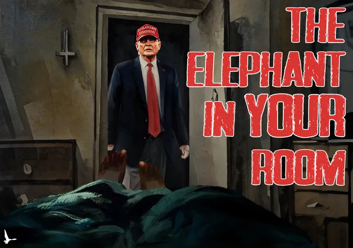 THE ELEPHANT IN YOUR ROOM.