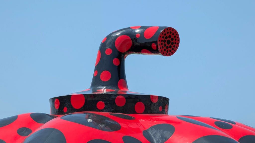 Red Pumpkin and AMA?