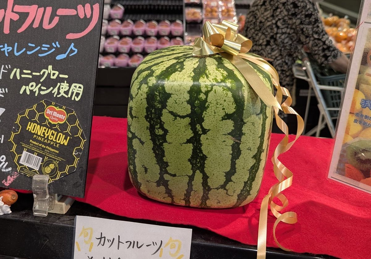 Square Watermelon