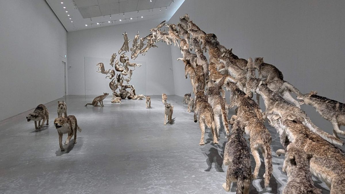 99 Wolves on Naoshima