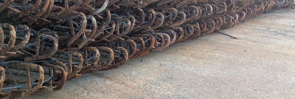 Photos of the day (April 3rd, 2026)