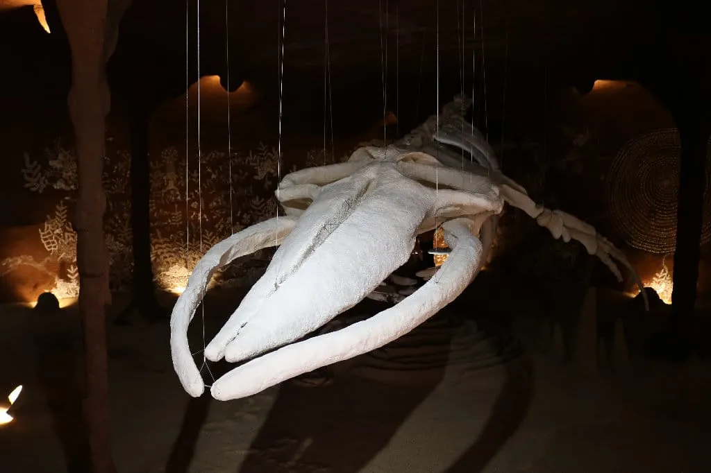 Whale in a Cave on Awashima