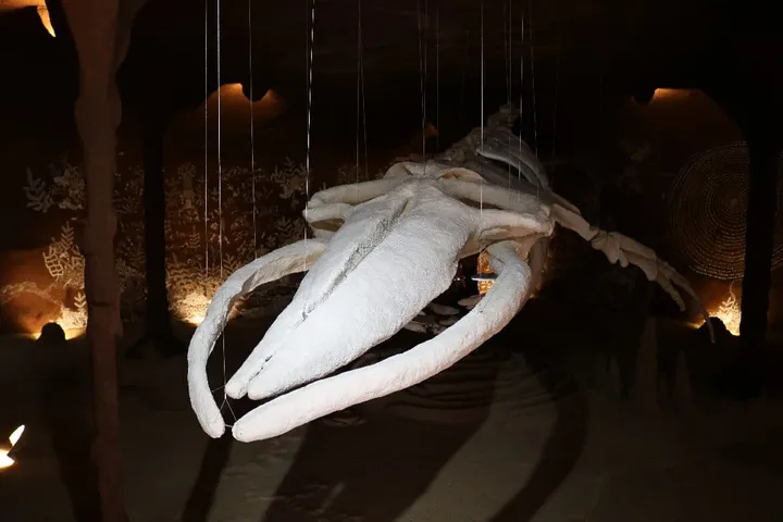 Whale in a Cave on Awashima