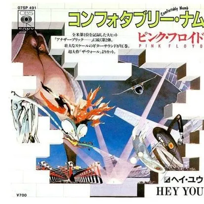 Pink Floyd - Comfortably Numb