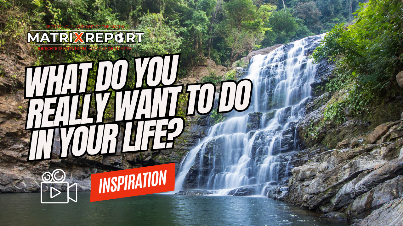 🍀Inspiration: What do you really want to do in your life?