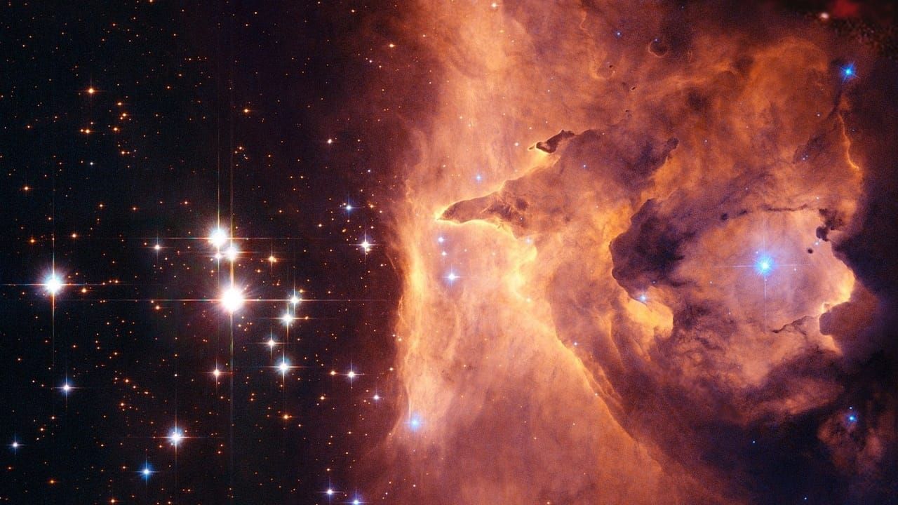 🧡What is Heart Coherence?