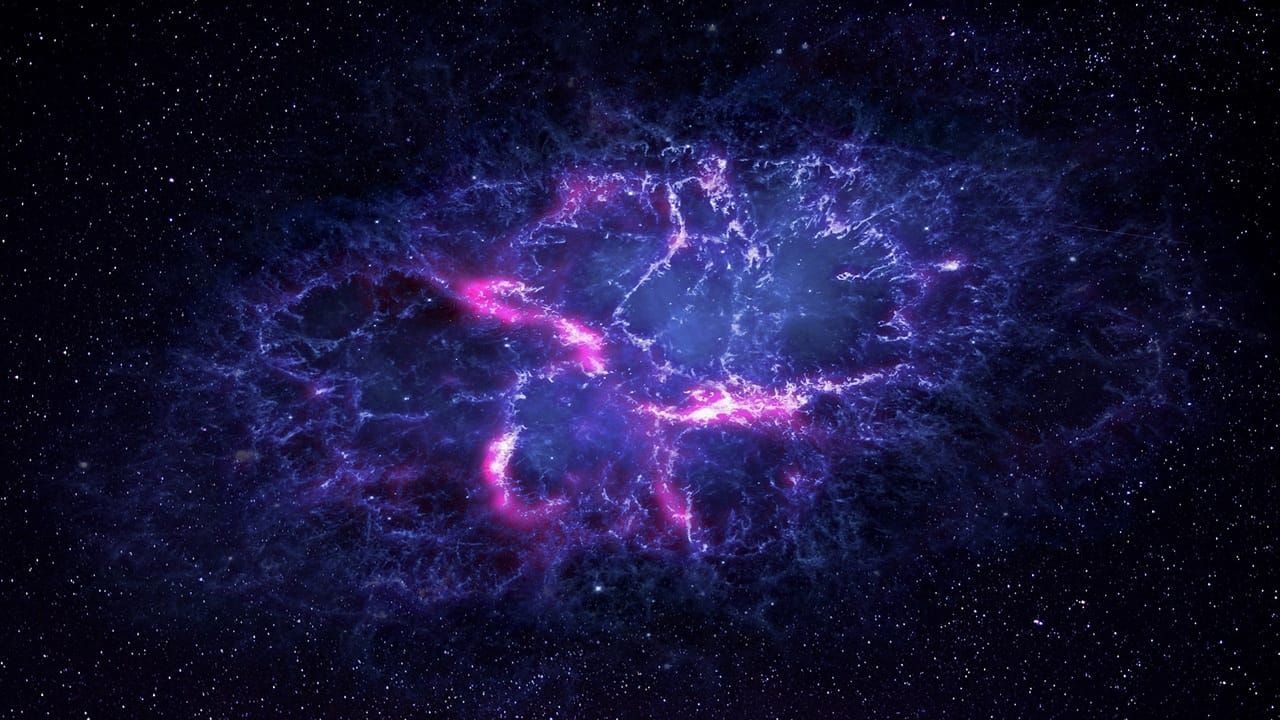 🧡The Fascinating Relationship Between the Heart and Brain