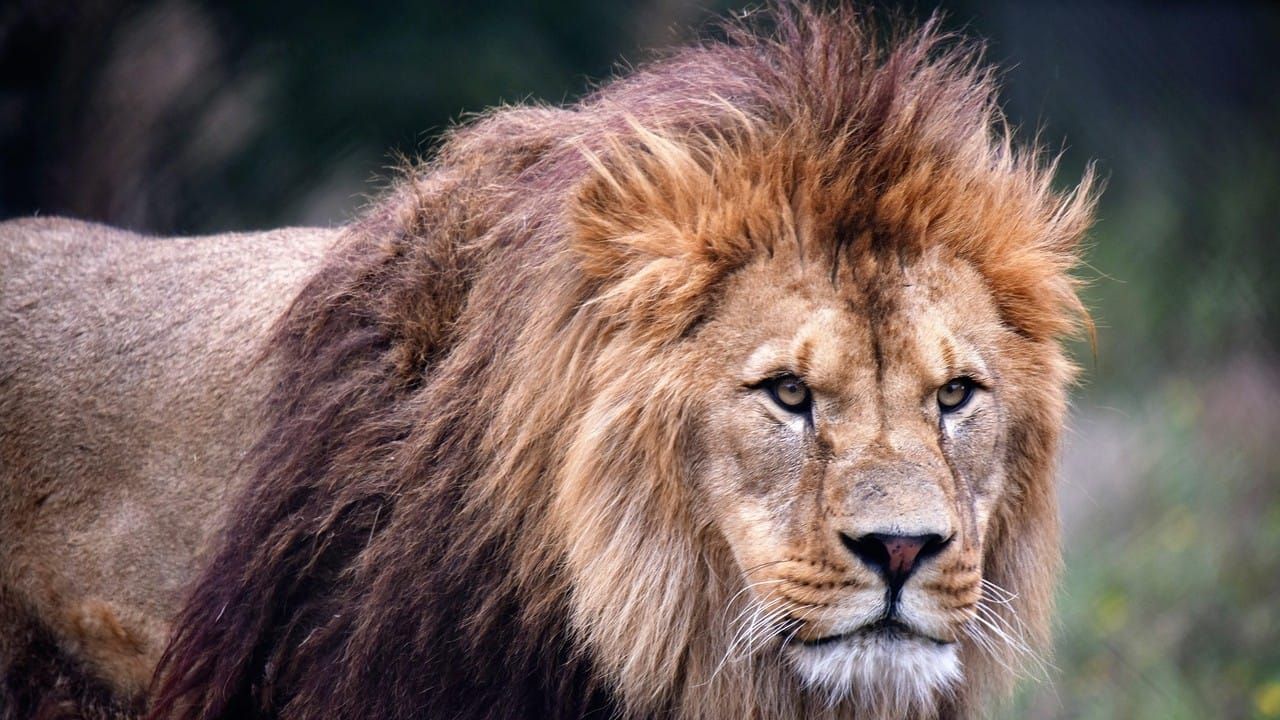 Take your power back! - David Icke ‼️