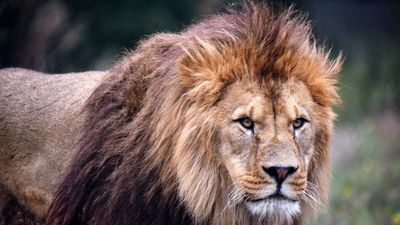 Take your power back! - David Icke ‼️